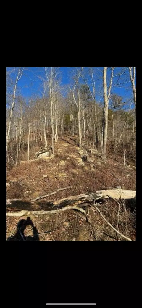 496 Canoe Rd, Jackson, KY 41339