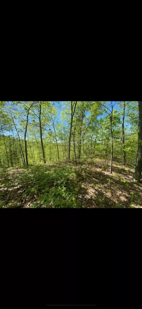 496 Canoe Rd, Jackson, KY 41339 photo 6