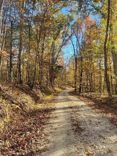 0 Mt Springs Rd, Irvine, KY 40336