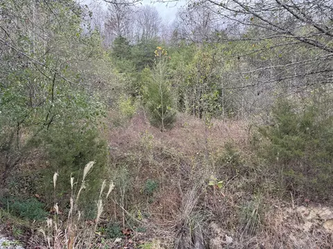 3583 E 904 Hwy, Williamsburg, KY 40769 photo 3