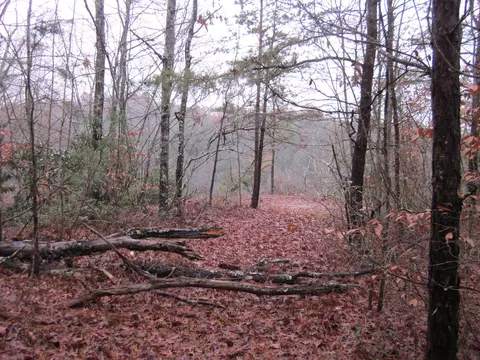17 Sunrise Mountain Retreat Rd, Beattyville, KY 41311