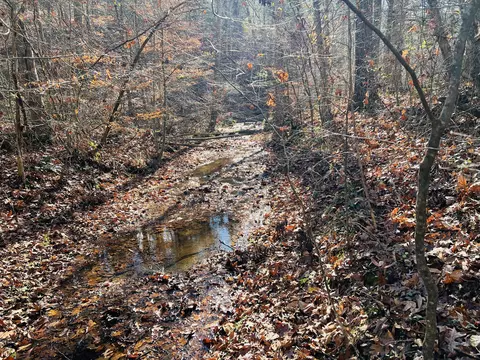 Tract 8 Newell Road, Somerset, KY 42503