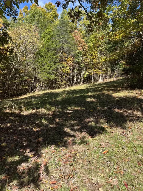 1 Plummer Rd, Stamping Ground, KY 40379