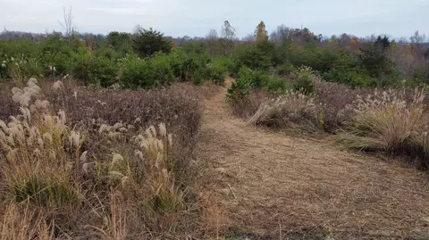 lot Apt 71 Shawnee Run, Rogers, KY 41365