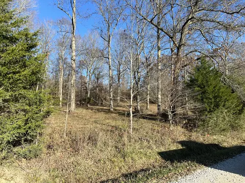 0 W Bowman Springs Rd, Vanceburg, KY 41179