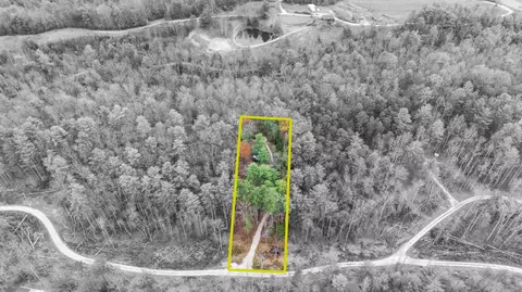 345 Wolfe Lake Rd, Campton, KY 41301 photo 36