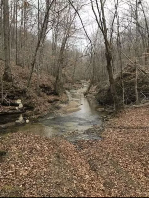 1111 Willis Creek Rd, Burkesville, KY 42717