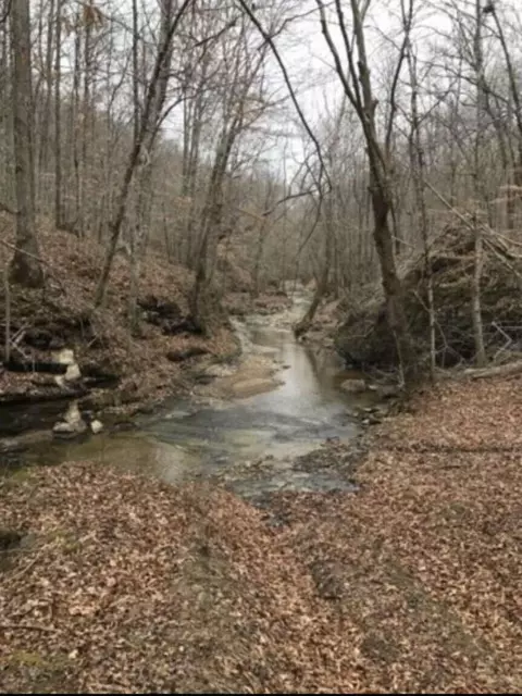 1111 Willis Creek Rd, Burkesville, KY 42717