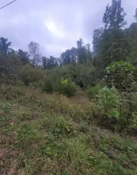 9999 Jonance Dr, Berea, KY 40403