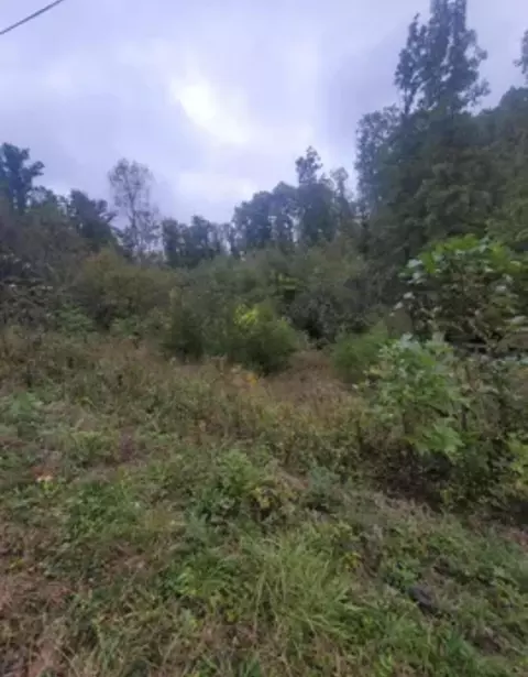 9999 Jonance Dr, Berea, KY 40403