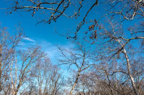 lot1 F Ashgrove Rd, Nicholasville, KY 40356