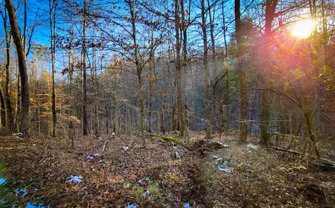 0 Beech Timber Rd, Beattyville, KY 41311