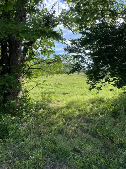 5750 Van Meter Rd, Winchester, KY 40391 photo 22