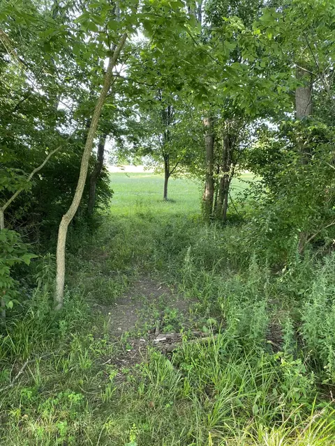 5750 Van Meter Rd, Winchester, KY 40391 photo 21