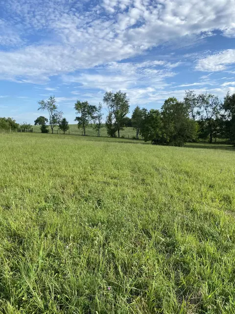 5750 Van Meter Rd, Winchester, KY 40391 photo 31