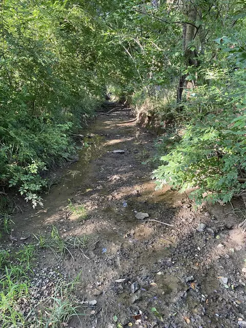 5750 Van Meter Rd, Winchester, KY 40391 photo 30