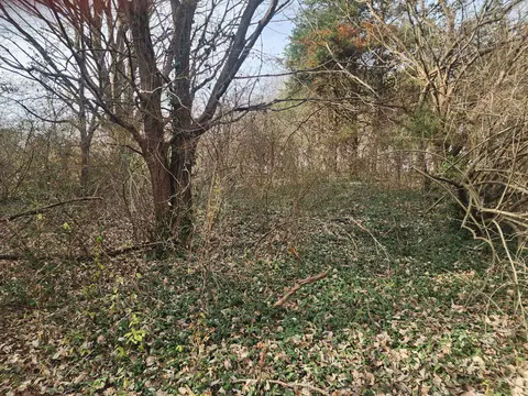 0 Country Hill Dr, Somerset, KY 42501