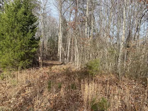 1180 Roberts Bend Rd, Burnside, KY 42519 photo 6