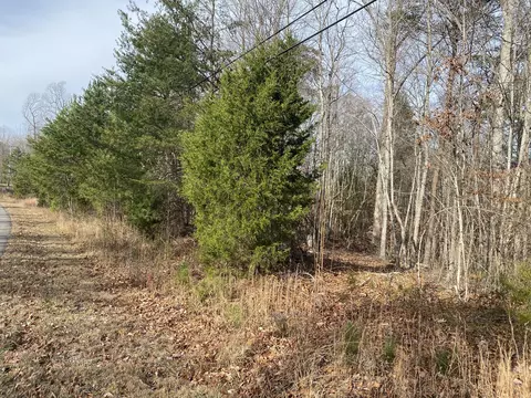 1180 Roberts Bend Rd, Burnside, KY 42519 photo 5