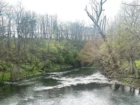 519 Fishers Mill Rd, Midway, KY 40347