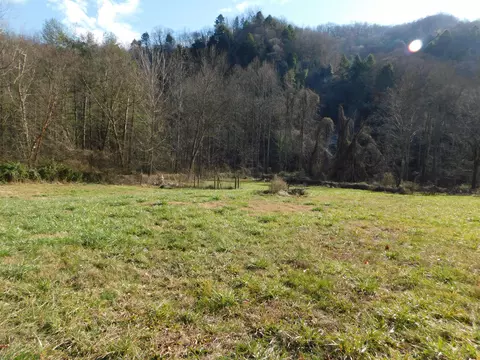 174 Pikewood Rd, Evarts, KY 40828