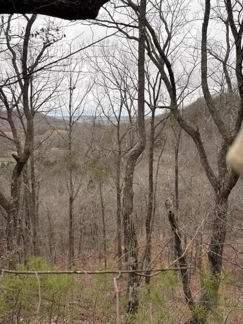 425 Little Mocasin Rd, Hustonville, KY 40437