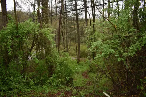 000 Buffalo Branch Rd, Pineville, KY 40977