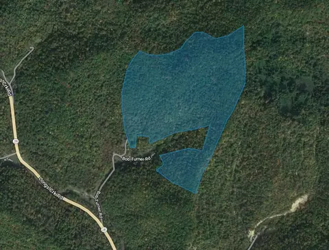 0 Longs Crk Rd, Gays Creek, KY 41745