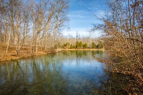 View/Area - 125 Harborside Ct, Georgetown, KY 40324 photo 6 of 21