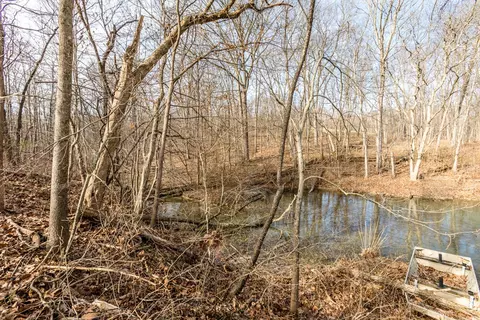 View/Area - 125 Harborside Ct, Georgetown, KY 40324 photo 8 of 21