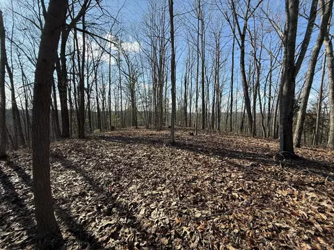 191 The Reserve At Cliffview, Zoe, KY 41397