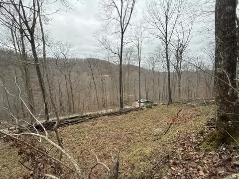 240 Dale Hollow Rd, Stanton, KY 40380