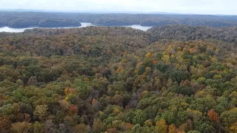 View/Area - 3 Cherokee Trl # A, Nancy, KY 42544 photo 2 of 18