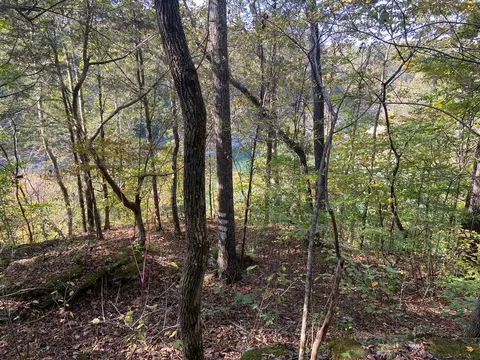 View/Area - 3 Cherokee Trl # A, Nancy, KY 42544 photo 3 of 18