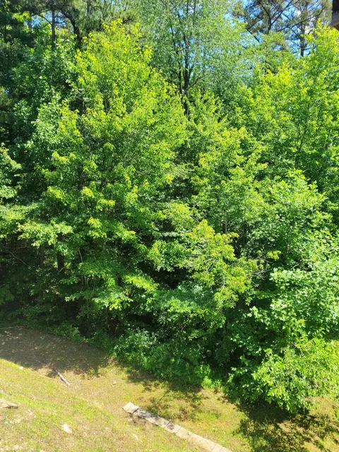 2557 Bee Creek Rd, Corbin, KY 40701 photo 6