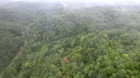 0 Hwy 2000 Martins Crk, Goose Rock, KY 40944