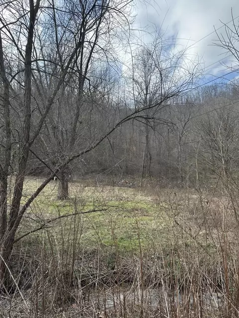 0 Ice House Branch Rd, Manchester, KY 40962