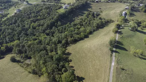 82 Acres Keefer Rd, Corinth, KY 41010 photo 12