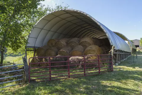 82 Acres Keefer Rd, Corinth, KY 41010 photo 8