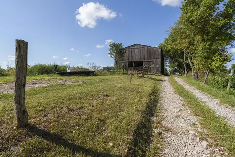 82 Acres Keefer Rd, Corinth, KY 41010 photo 4
