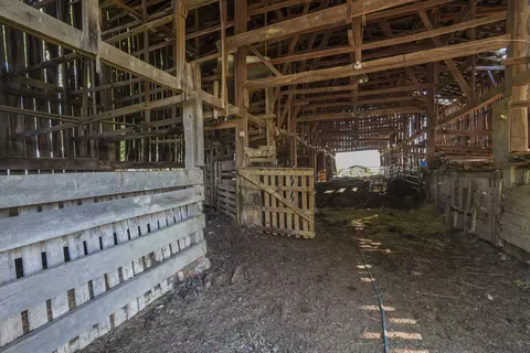 82 Acres Keefer Rd, Corinth, KY 41010 photo 6