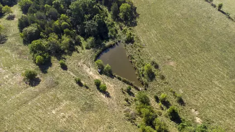 82 Acres Keefer Rd, Corinth, KY 41010 photo 17