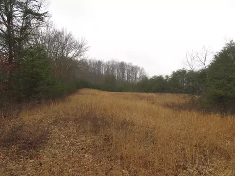 00 Johnson Rd, London, KY 40741