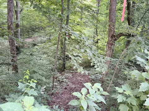 lot Apt 35 Suncrest Dr, Somerset, KY 42503