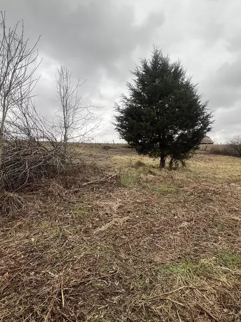 9999 Goodhope Rd, Eubank, KY 42567 photo 5