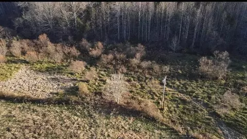 101 Doe Gap Branch Rd, Flat Lick, KY 40935 photo 22
