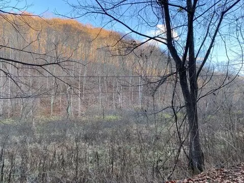 101 Doe Gap Branch Rd, Flat Lick, KY 40935 photo 18