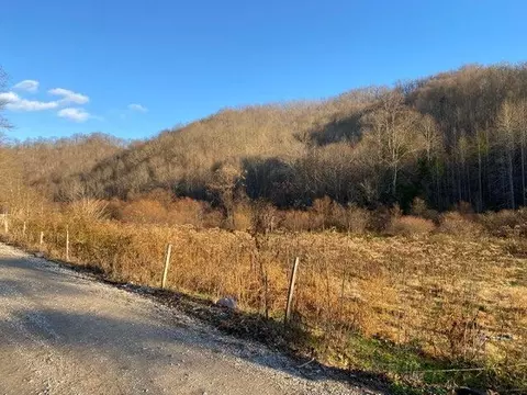 101 Doe Gap Branch Rd, Flat Lick, KY 40935 photo 13