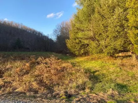 101 Doe Gap Branch Rd, Flat Lick, KY 40935 photo 15
