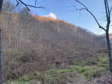 101 Doe Gap Branch Rd, Flat Lick, KY 40935 photo 19